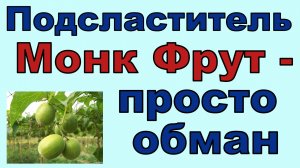 Подсластитель Монк фрут - оказывается, это обман. Так продают обычный ЭРИТРИТ!