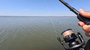 Рыбалка на водохранилище с фидерной снастью