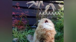 Юмор каждый день 😂