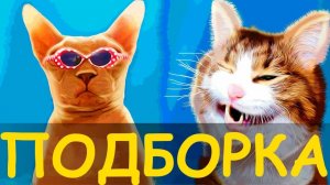 20 МИНУТ СМЕХА | ЛУЧШИЕ ПРИКОЛЫ С ЖИВОТНЫМИ | ПРО ЖИВОТНЫХ | СМЕШНЫЕ ЖИВОТНЫЕ