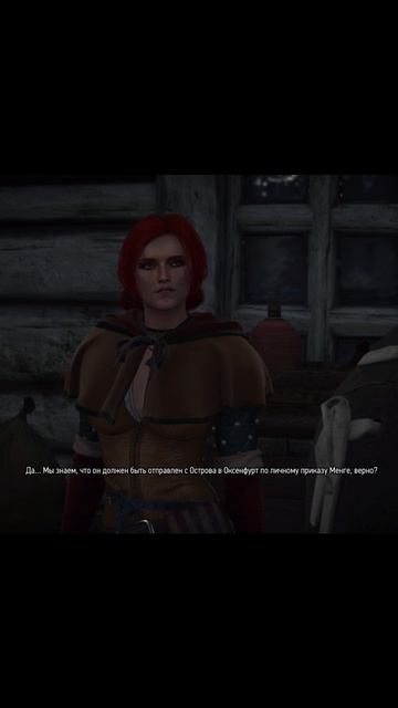 #witcher3 | Квест "Сокровища графа Ройвена"- финал #games #rpg