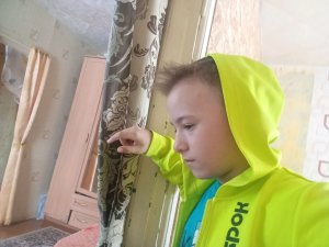 стримчик🐼