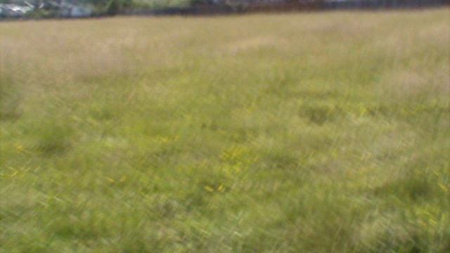 Крушение пилотажной модели F2B.