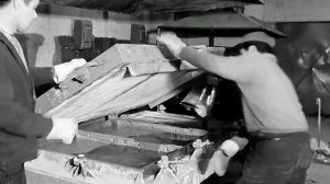 1973 год. Тюменский район. Новый цех Боровской птицефабрики