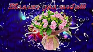 С Днём Рождения! Букеты роз 1 от Киностудии Мудрого Кота Тимофея!