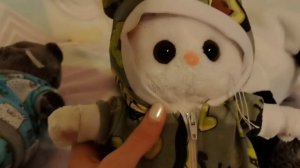 Кого мне взять? Мишу, Басика, Лили или может всех?