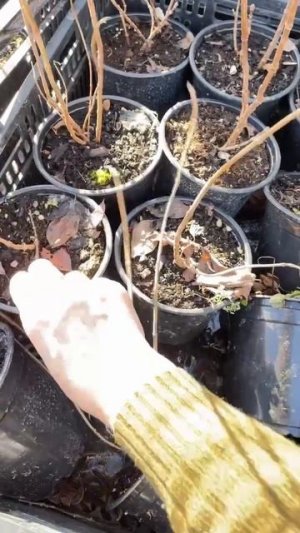 Главный лайфхак 🤣