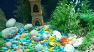 12-03-2026  Красота!!