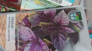 В Снежную погоду сею томатики, колеусы