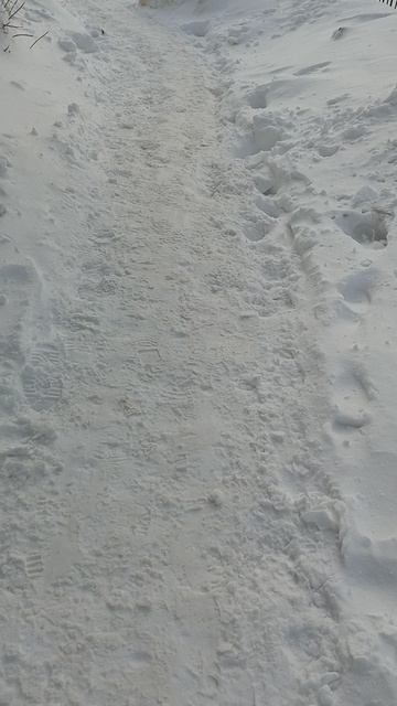 №1665 Двор Сибирская 73. 12 марта 2026 г., 12:29:58 VID_20260312_122911294