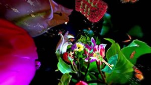 С Днём Рождения! Букеты роз 3 от Киностудии Мудрого Кота Тимофея!