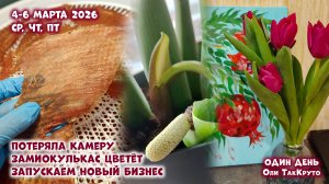 Запускаем новый бизнес, делаем мясные чипсы (вяленое мясо). Потеряла камеру. Дни с Олей ТакКруто