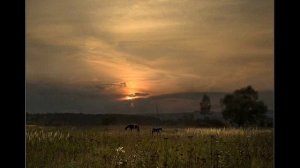 Позови меня