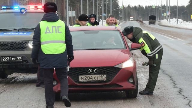 Госавтоинспекция провела на дорогах Карелии праздничный рейд. Вместо проверки документов – тюльпаны.
