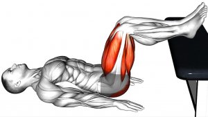 Программа тренировок с собственным весом — оборудование не требуется!