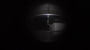 Соня Маер и  Алёна