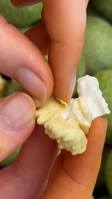 Грецкий орех свежий