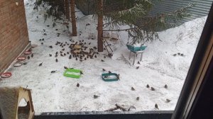 зоопарк с дедушкой