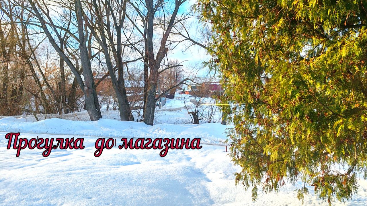 Прогулка в Соцгород.Наши парки.Моя школа.Горка где мы гоняли на санках