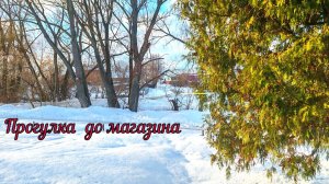 Прогулка в Соцгород.Наши парки.Моя школа.Горка где мы гоняли на санках