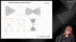 Муравлева Л.В. - Механика неньютоновских жидкостей - 3. Вариационные постановки