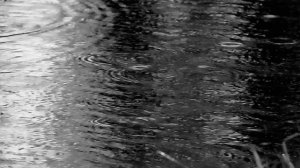 Ну и погода