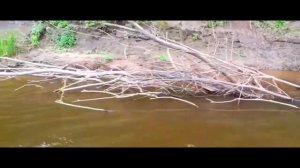 шманяю из рогатки ЧАСТЬ 31