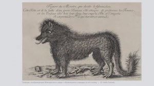 Жеводанский зверь. Миф или реальность?