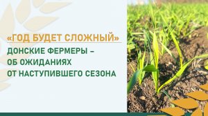 «Год будет сложный» | Донские фермеры – об ожиданиях от наступившего сезона