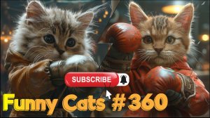 Смешные коты #360