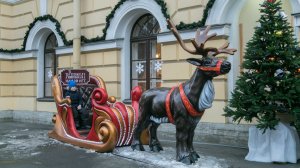 Новогодняя композиция "Сани с оленем". г. Санкт-Петербург.