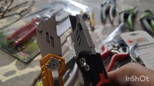 Прогноз на урожай абрикоса неутешительный.