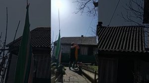 Моя повседневная жизнь ✌️