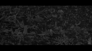 ОЗЕРНИЦЫ... Страшные истории на ночь 🫣🫣🫣