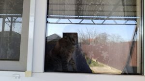 Мы приехали в гости