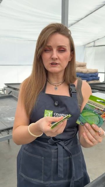 СОРТА И ГИБРИДЫ КАПУСТЫ ДЛЯ КВАШЕНИЯ