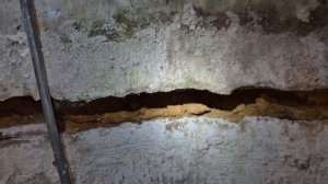 Д. Синьково. Чистка колодца, друзья обслуживание колодца раз в 3-5 лет , не в 10 лет. podkapaev.ru