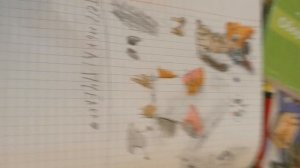 артик тётеньке пчелке ❤️❤️