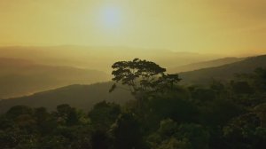 [Album]  Shadows & Confessions - Depeche Mode Inspired Dark Electronic AI Mix  Electro 90s 2000s