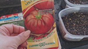 Посев томатов самым простым способом 11.03.26г.🍅Кашпо для Петуний.🌸На даче весна!🌞