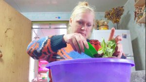 Жизнь в Сибири,посеяла ТОМАТЫ,ВЛОГ