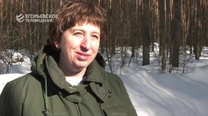 Две женщины и 9 тысяч гектаров леса: история лесничих из Егорьевска