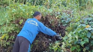 71серия/Жизнь в горной деревне Непала | в непальской бедной, но счастливой семье