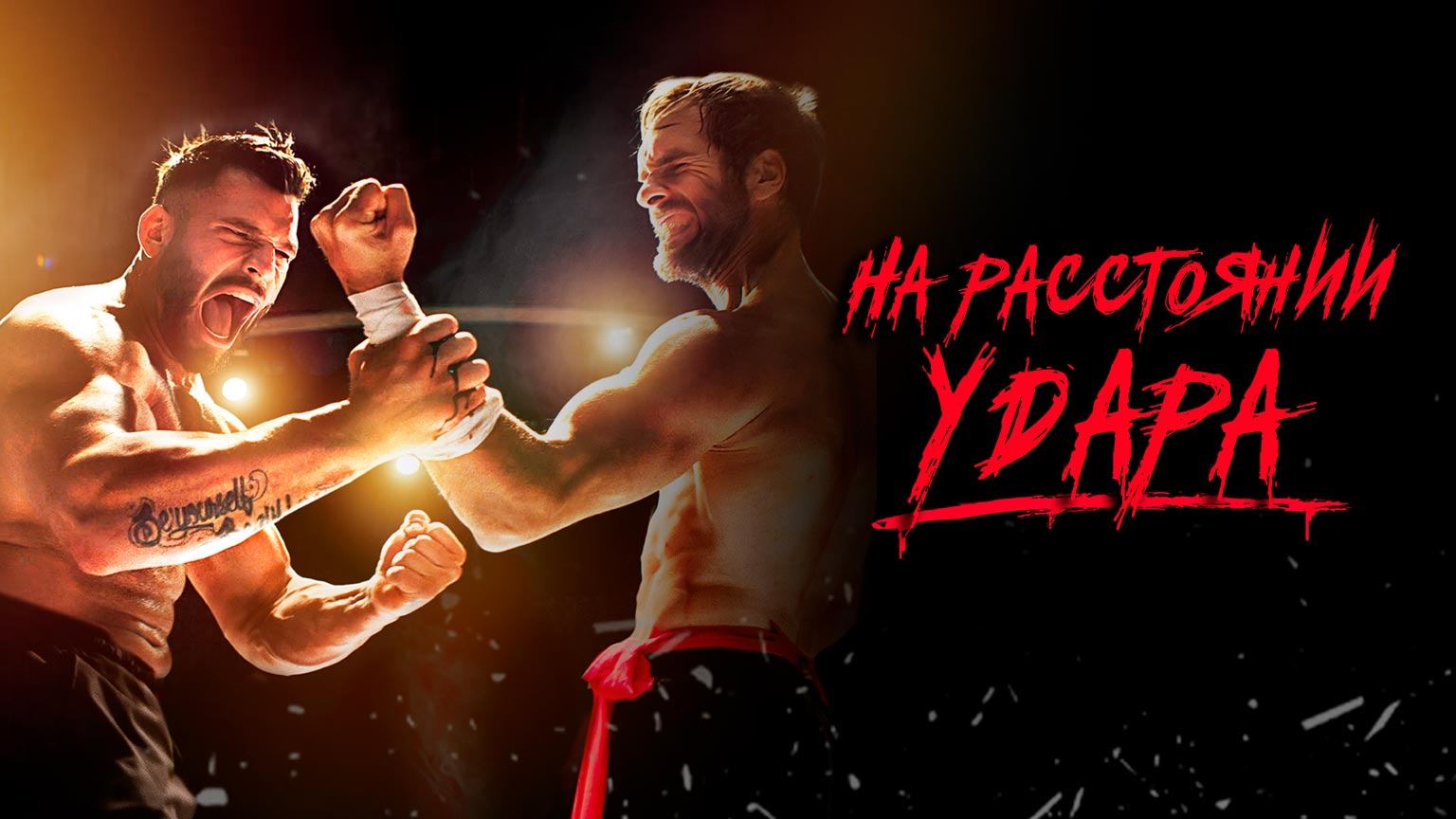На расстоянии удара / The Last Kumite (2024)