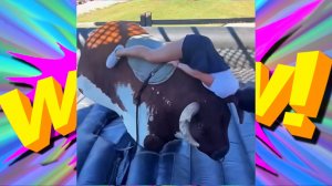 СМЕШНЫЕ ВИДЕО: ПРИКОЛЫ, КОТОРЫЕ СДЕЛАЮТ ВАШ ДЕНЬ