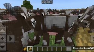 как зделать ферму бекона и кожи тебе сюда