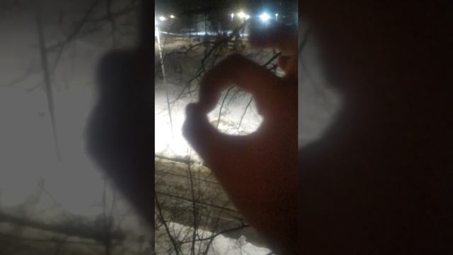 вид с балкона