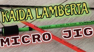 Лучший Бюджетный спиннинг