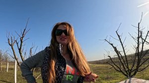 Алиса Неземная- Весна)