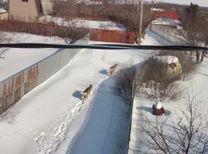 Жители нашего СНТ